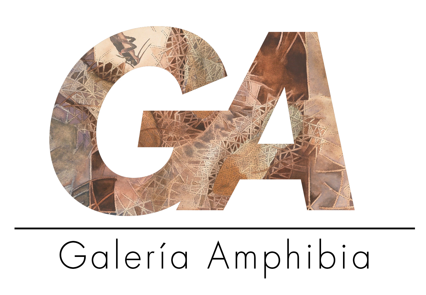 GALERÍA AMPHIBIA